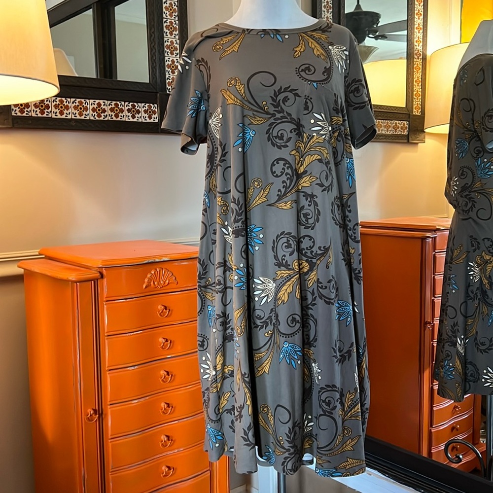 LuLaRoe Carly Swing Dress
